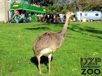Dartmoor Zoological Park 1093184 Image 6